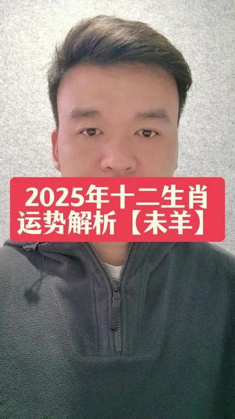 2025 生肖|2025年运势12生肖运势详解 蛇年全年运势解析